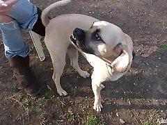 Only Asian Porn Videos 6